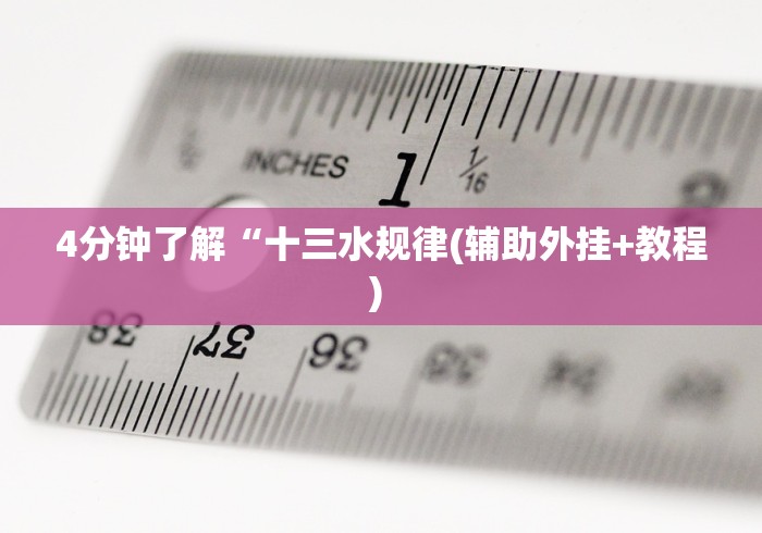4分钟了解“十三水规律(辅助外挂+教程) 
