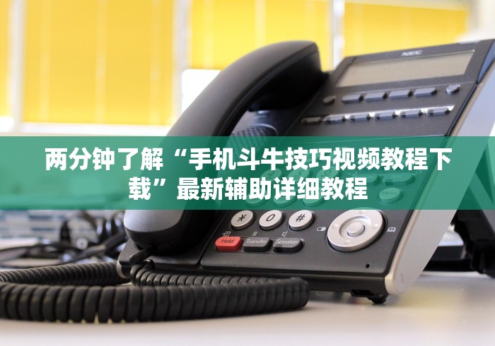 两分钟了解“手机斗牛技巧视频教程下载”最新辅助详细教程