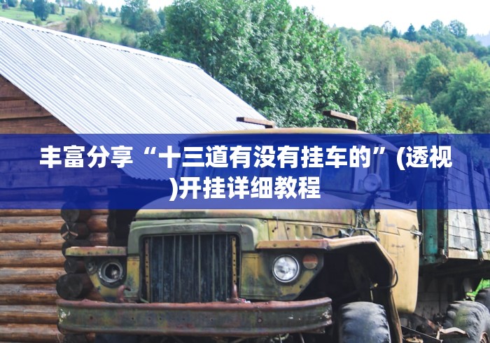 丰富分享“十三道有没有挂车的”(透视)开挂详细教程