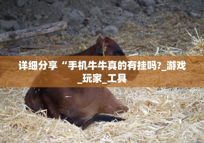 【重磅来袭】“多乐贵阳抓鸡有作弊吗”详细外挂透视辅助软件教程