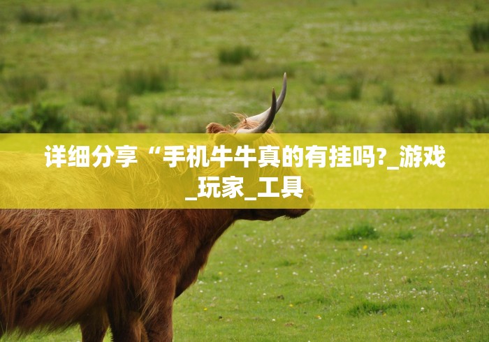 详细分享“手机牛牛真的有挂吗?_游戏_玩家_工具