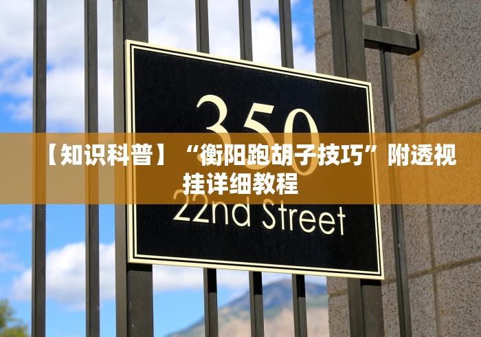 【知识科普】“衡阳跑胡子技巧”附透视挂详细教程