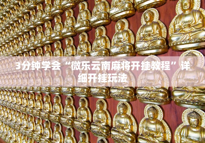 3分钟学会“微乐云南麻将开挂教程”详细开挂玩法