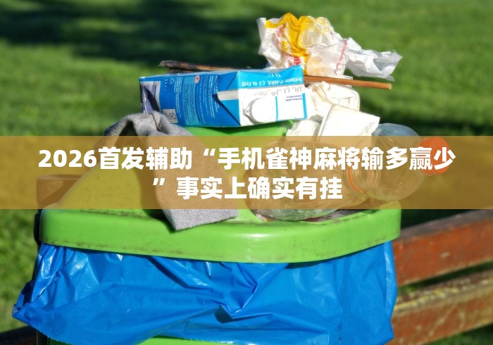 2026首发辅助“手机雀神麻将输多赢少”事实上确实有挂