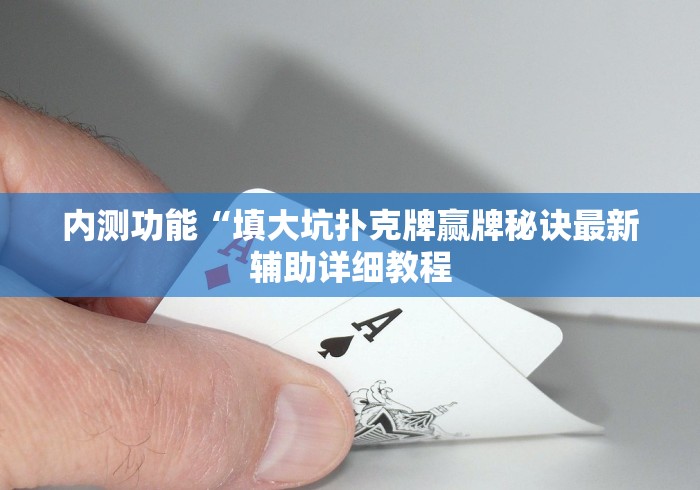 内测功能“填大坑扑克牌赢牌秘诀最新辅助详细教程