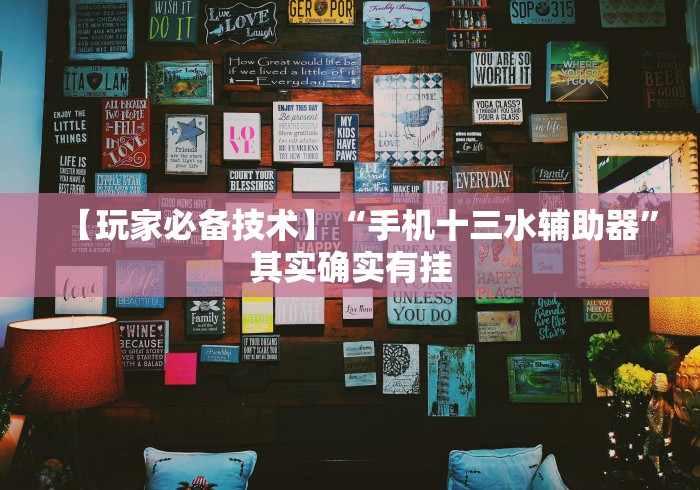 【玩家必备技术】“手机十三水辅助器”其实确实有挂