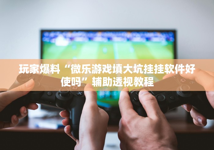 玩家爆料“微乐游戏填大坑挂挂软件好使吗”辅助透视教程