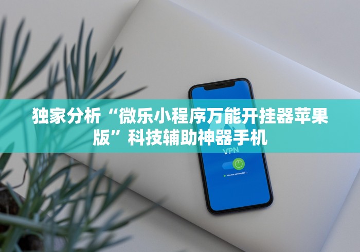 独家分析“微乐小程序万能开挂器苹果版”科技辅助神器手机