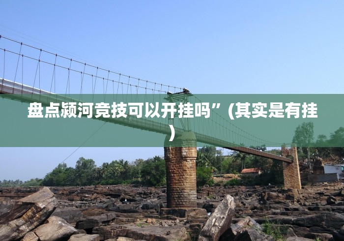 盘点颍河竞技可以开挂吗”(其实是有挂)