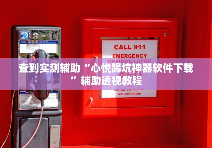 查到实测辅助“心悦踢坑神器软件下载”辅助透视教程