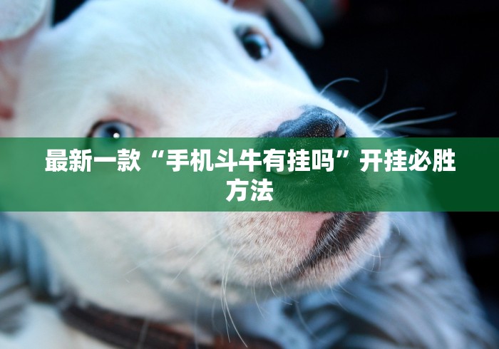 最新一款“手机斗牛有挂吗”开挂必胜方法