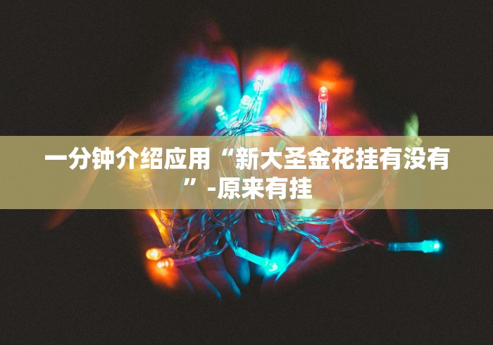 一分钟介绍应用“新大圣金花挂有没有”-原来有挂
