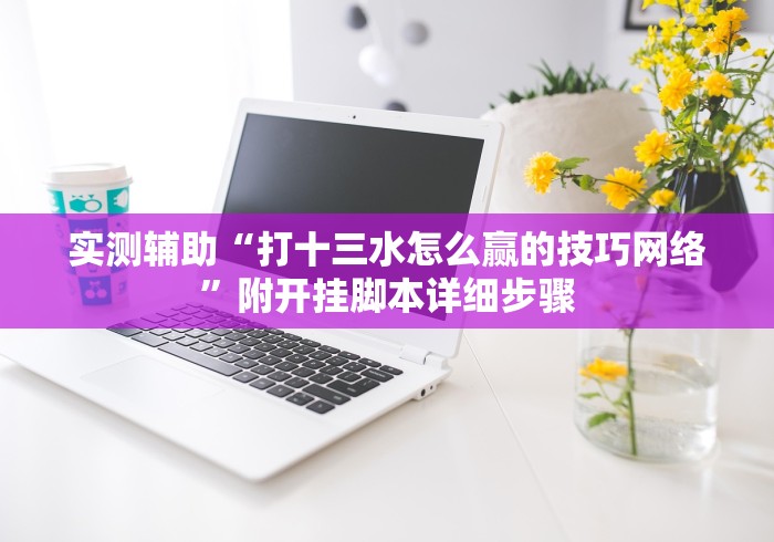 实测辅助“打十三水怎么赢的技巧网络”附开挂脚本详细步骤