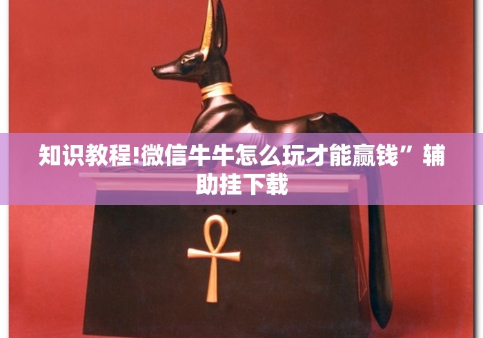 知识教程!微信牛牛怎么玩才能赢钱”辅助挂下载
