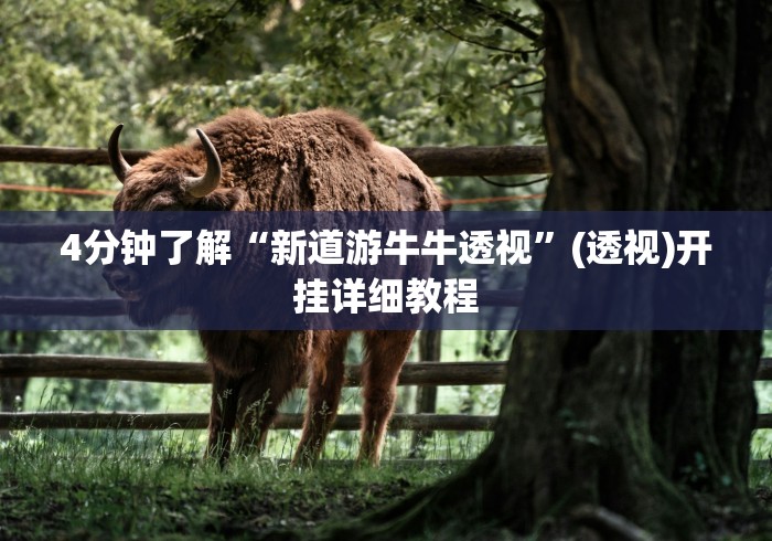 4分钟了解“新道游牛牛透视”(透视)开挂详细教程