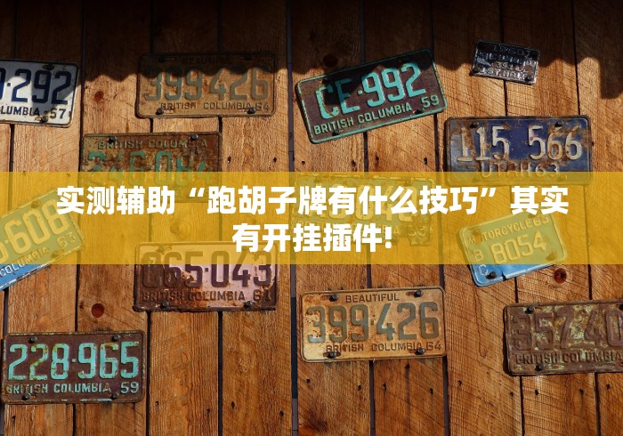 实测辅助“跑胡子牌有什么技巧”其实有开挂插件!