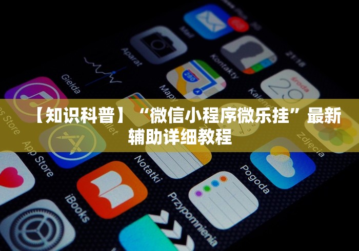 【知识科普】“微信小程序微乐挂”最新辅助详细教程