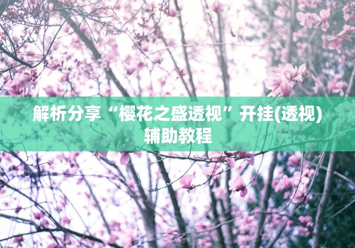 解析分享“樱花之盛透视”开挂(透视)辅助教程