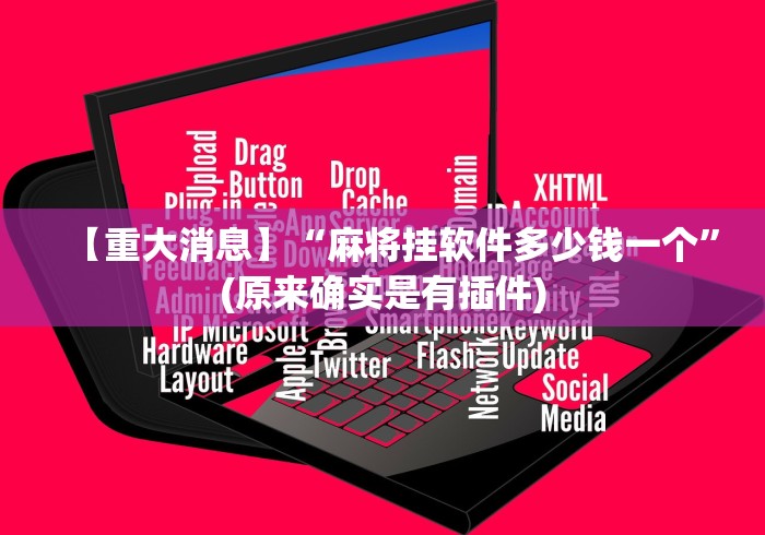【重大消息】“麻将挂软件多少钱一个”(原来确实是有插件)