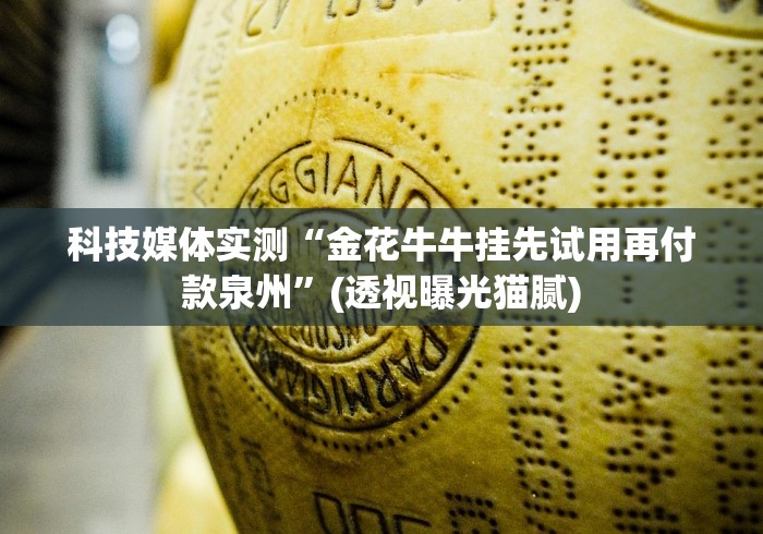 科技媒体实测“金花牛牛挂先试用再付款泉州”(透视曝光猫腻)