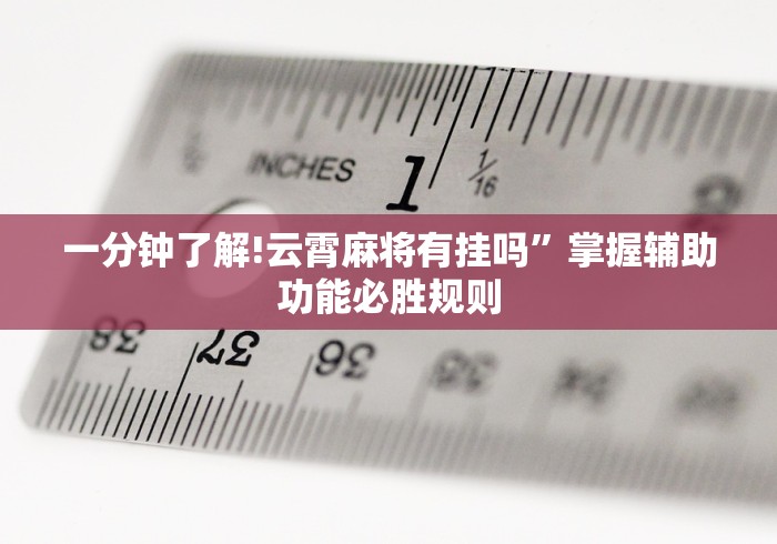 一分钟了解!云霄麻将有挂吗	”掌握辅助功能必胜规则
