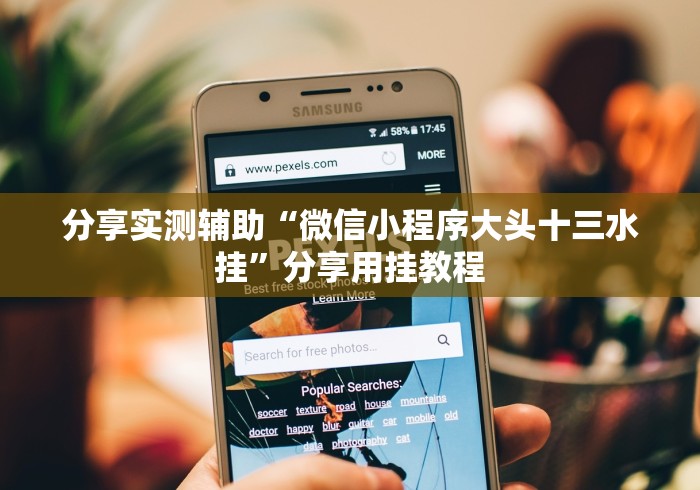分享实测辅助“微信小程序大头十三水挂”分享用挂教程