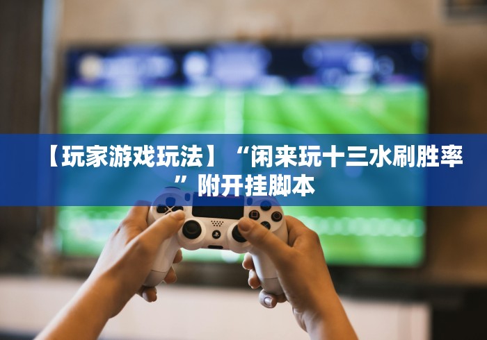 【玩家游戏玩法】“闲来玩十三水刷胜率”附开挂脚本