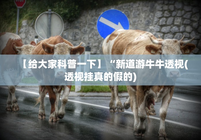 【给大家科普一下】“新道游牛牛透视(透视挂真的假的)