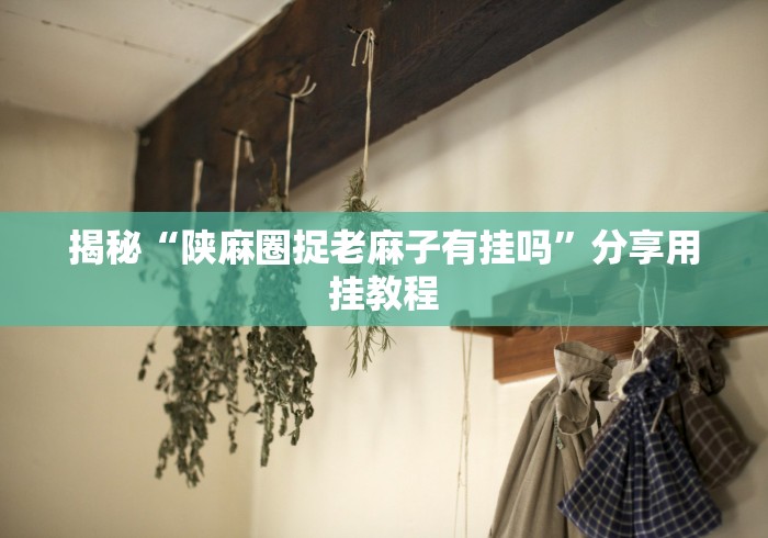 揭秘“陕麻圈捉老麻子有挂吗”分享用挂教程