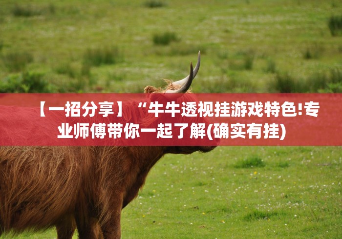 【一招分享】“牛牛透视挂游戏特色!专业师傅带你一起了解(确实有挂) 【一招分享】“牛牛透视挂游戏特色!专业师傅带你一起了解(确实有挂)