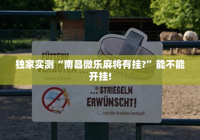 独家实测“南昌微乐麻将有挂?”能不能开挂!