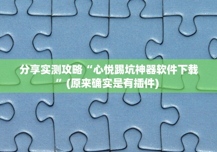 分享实测攻略“心悦踢坑神器软件下载”(原来确实是有插件) 
