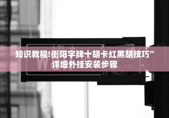 知识教程!衡阳字牌十胡卡红黑胡技巧”详细外挂安装步骤