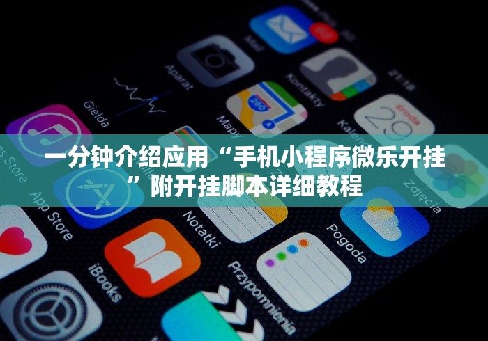 一分钟介绍应用“手机小程序微乐开挂”附开挂脚本详细教程