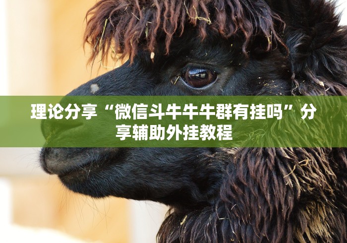 理论分享“微信斗牛牛牛群有挂吗”分享辅助外挂教程