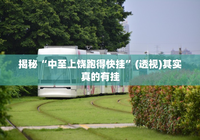 揭秘“中至上饶跑得快挂	”(透视)其实真的有挂