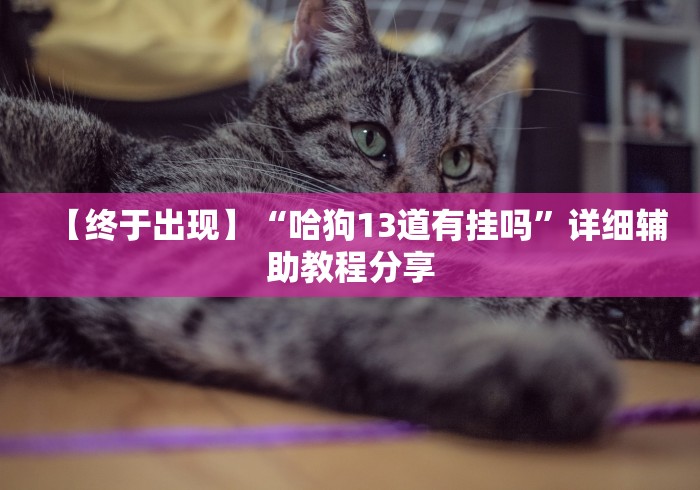 【终于出现】“哈狗13道有挂吗”详细辅助教程分享