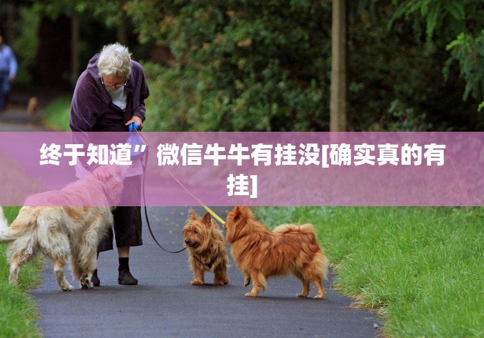 终于知道”微信牛牛有挂没[确实真的有挂]