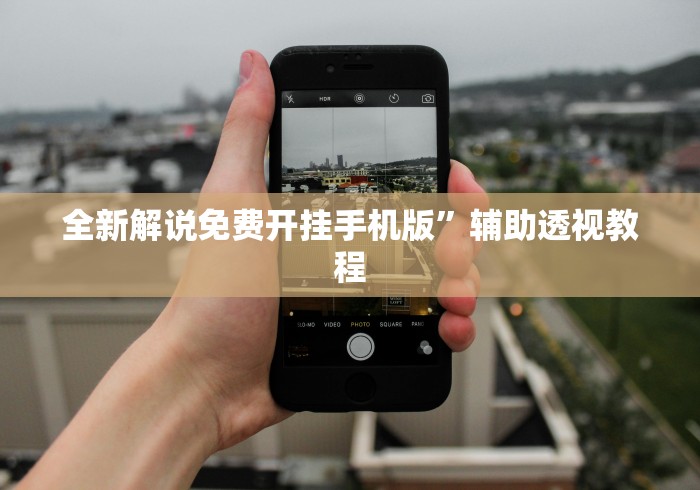 全新解说免费开挂手机版”辅助透视教程