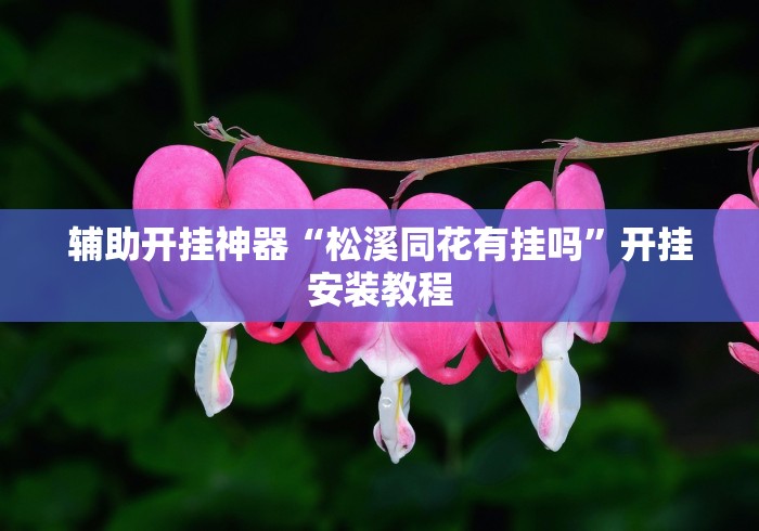 辅助开挂神器“松溪同花有挂吗”开挂安装教程