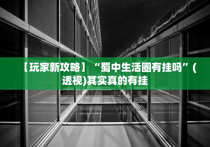 【玩家新攻略】“蜀中生活圈有挂吗”(透视)其实真的有挂
