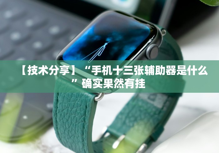 【技术分享】“手机十三张辅助器是什么”确实果然有挂 