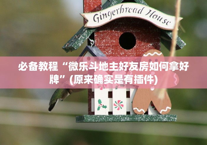 必备教程“微乐斗地主好友房如何拿好牌	”(原来确实是有插件)