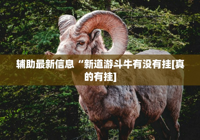辅助最新信息“新道游斗牛有没有挂[真的有挂]