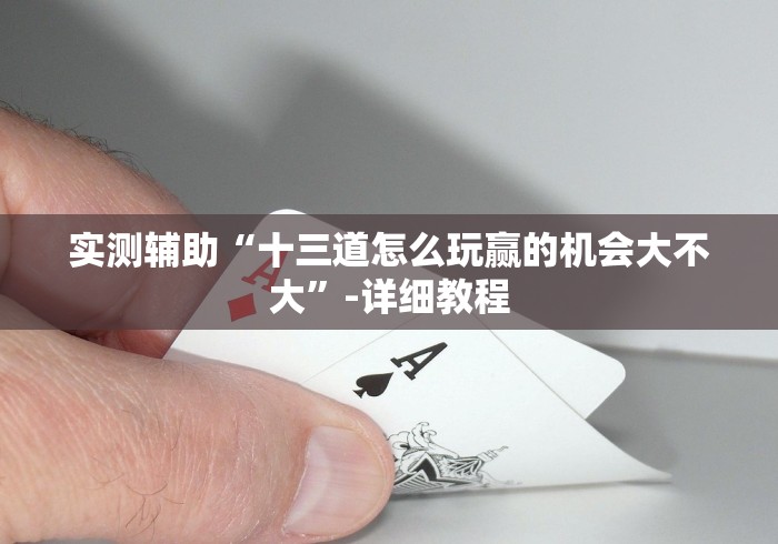 实测辅助“十三道怎么玩赢的机会大不大”-详细教程