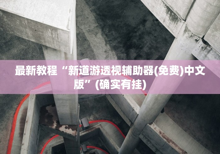 最新教程“新道游透视辅助器(免费)中文版	”(确实有挂)