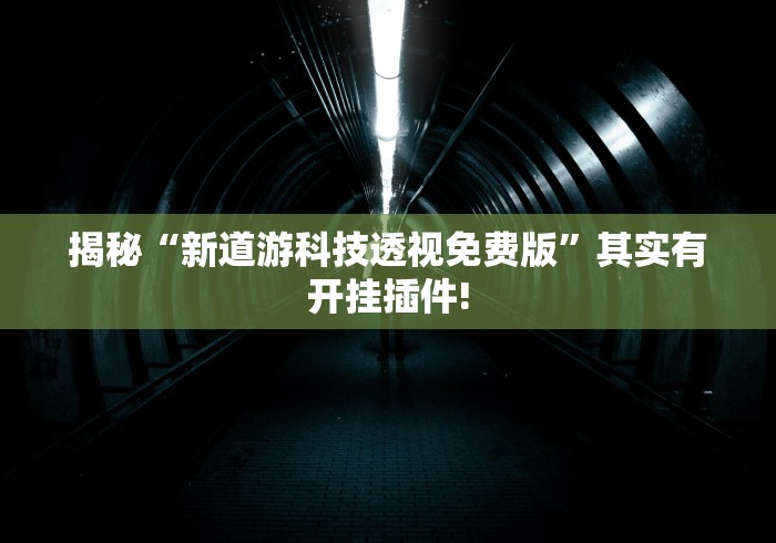揭秘“新道游科技透视免费版”其实有开挂插件!