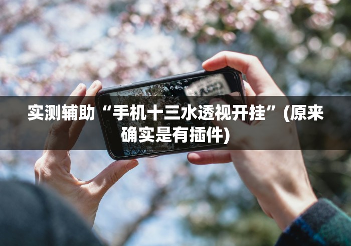 实测辅助“手机十三水透视开挂”(原来确实是有插件)