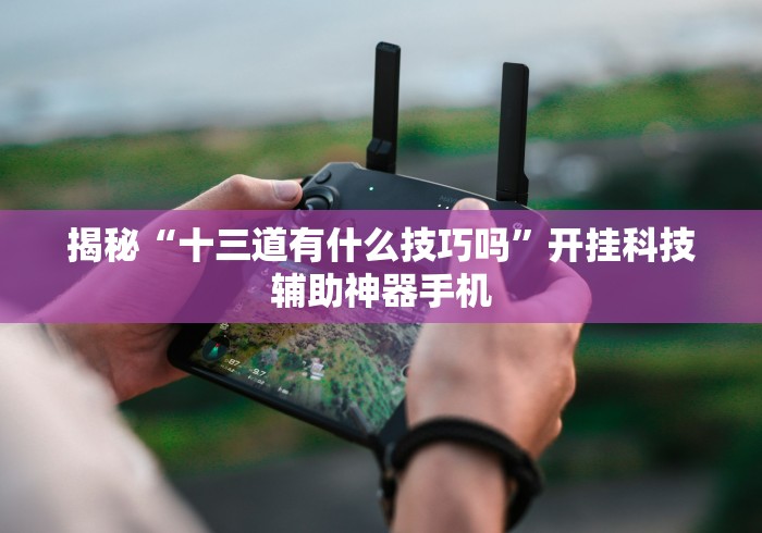 揭秘“十三道有什么技巧吗”开挂科技辅助神器手机