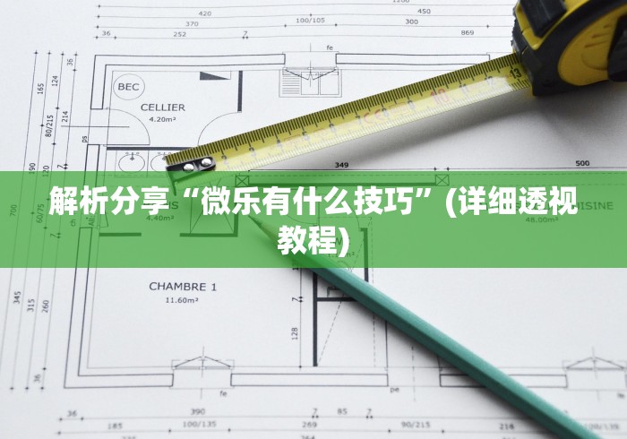 解析分享“微乐有什么技巧”(详细透视教程)